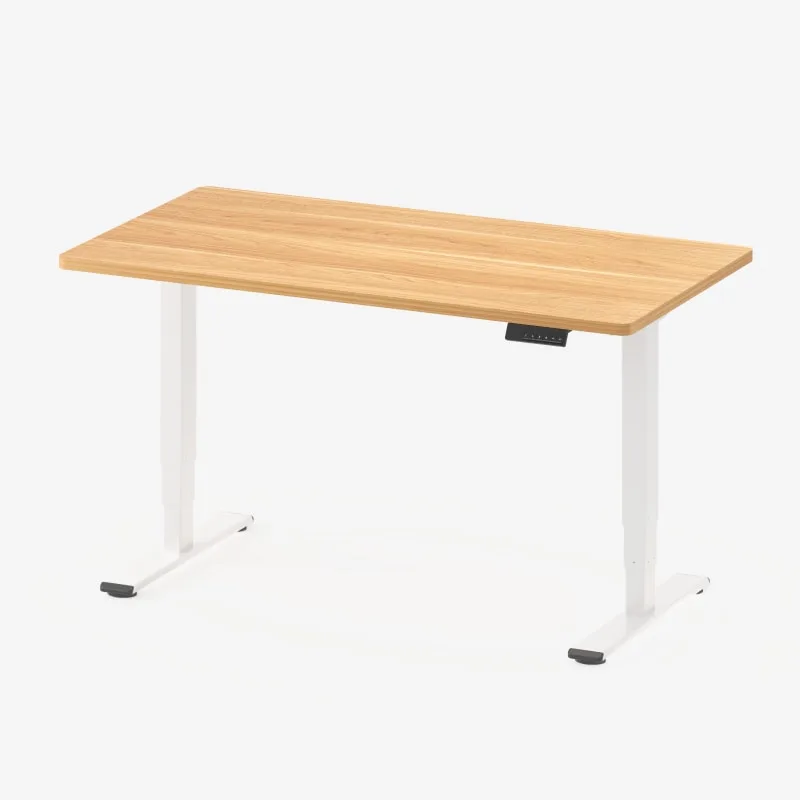 FlexiSpot E5