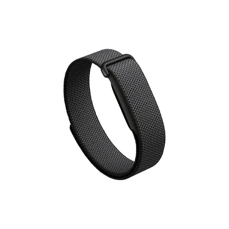 Google Fitbit Air
