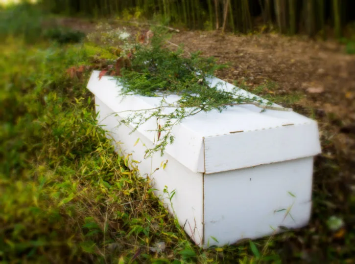Mourning Dove Studio Cardboard Coffin