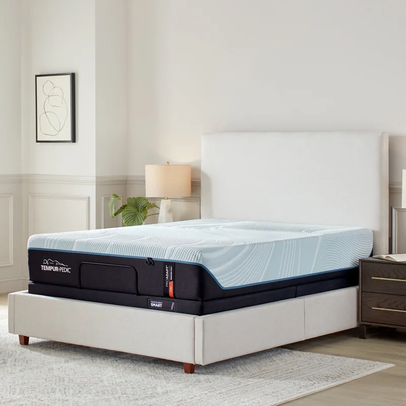 Tempur-Pedic TEMPUR-ProAdapt